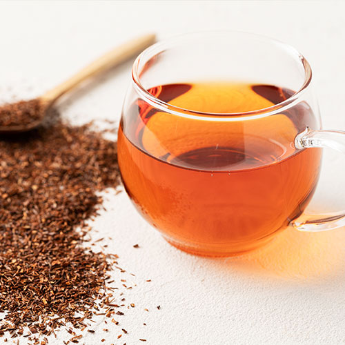 有機ルイボスティー 乳酸菌配合